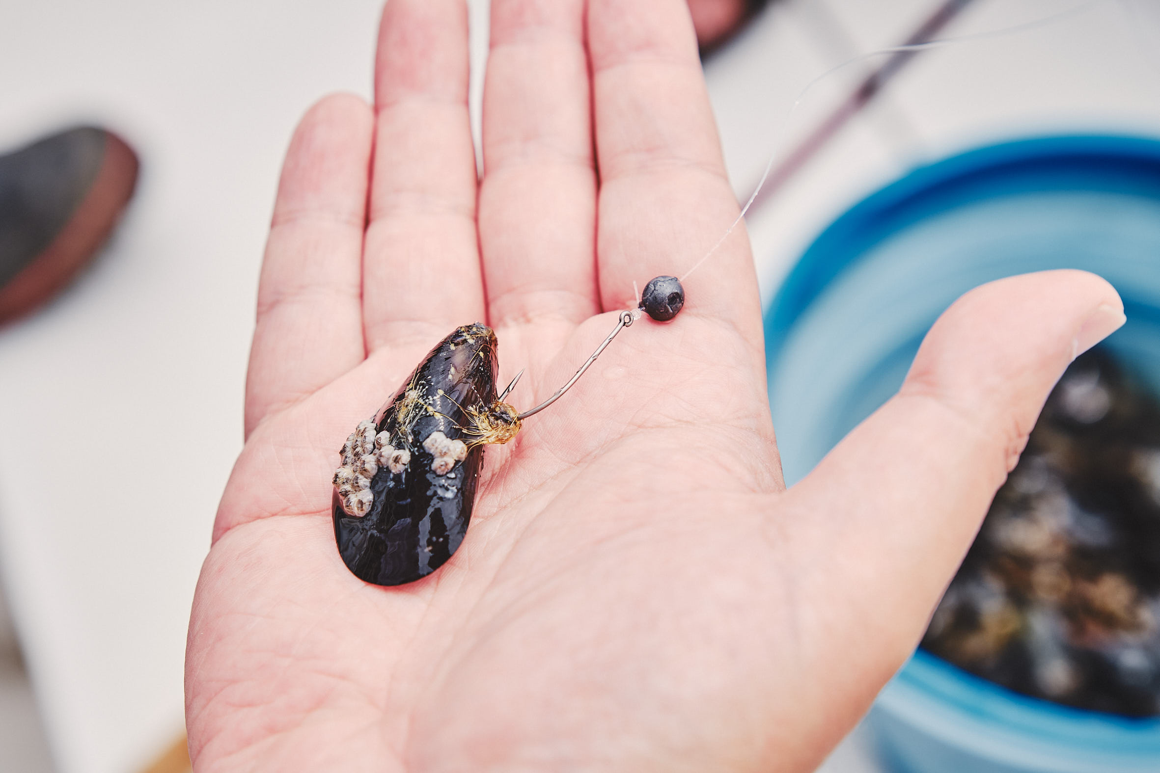 Goout釣り部掲載 Irie Fishing Club